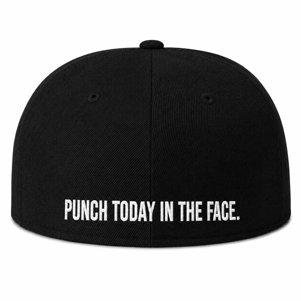 TWD Fitted FLEXFIT Flat Bill hat