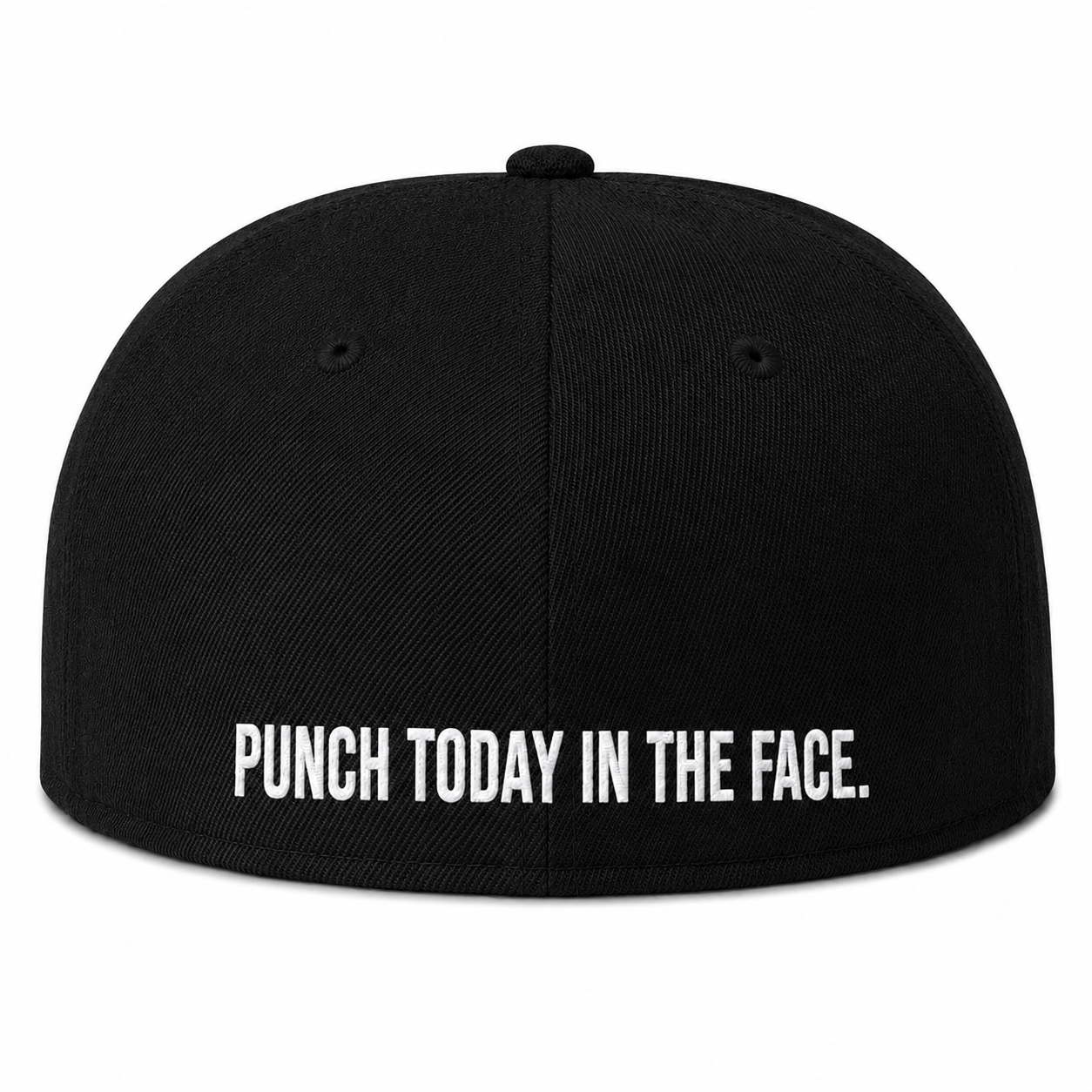 TWD Fitted FLEXFIT Flat Bill hat