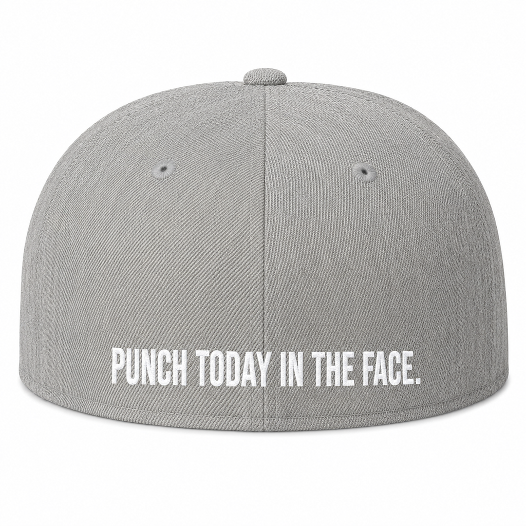 TWD Fitted FLEXFIT Flat Bill hat