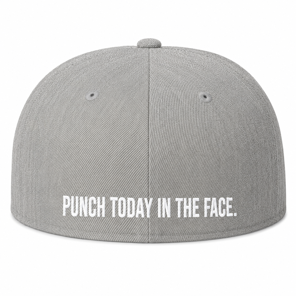 TWD Fitted FLEXFIT Flat Bill hat