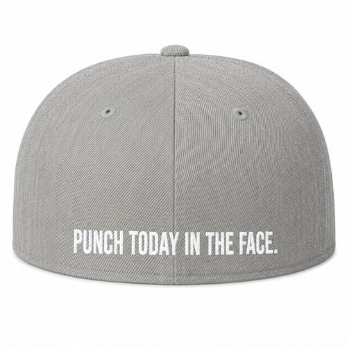 TWD Fitted FLEXFIT Flat Bill hat