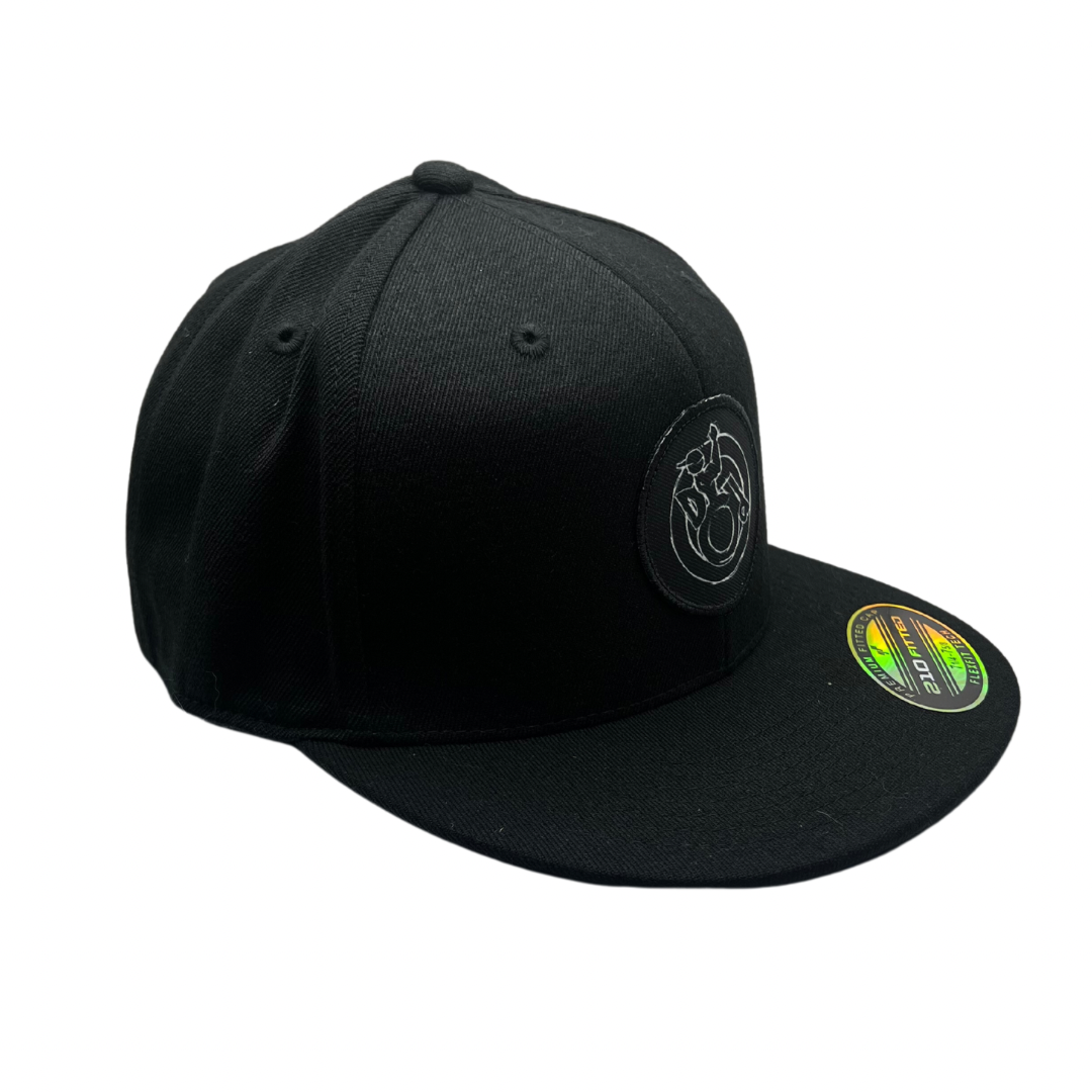 TWD Fitted FLEXFIT Flat Bill hat