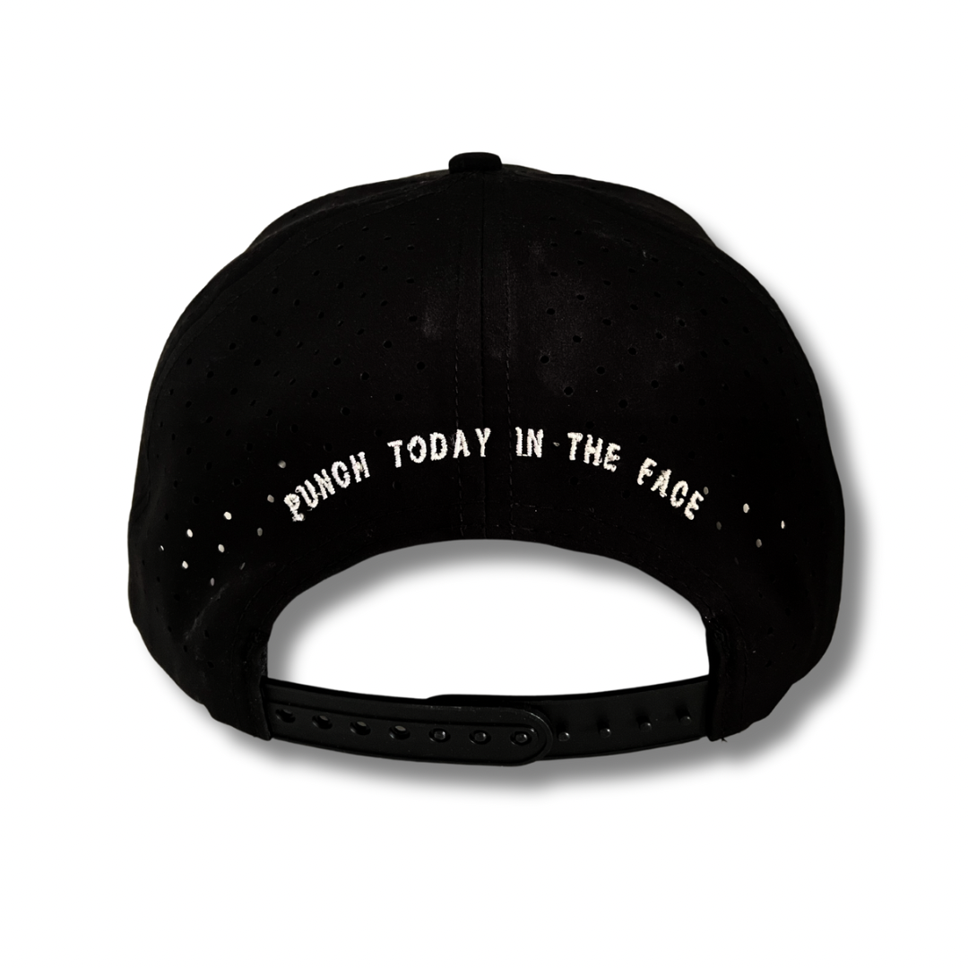 TWD Premium Curved Brim Snapback Hat